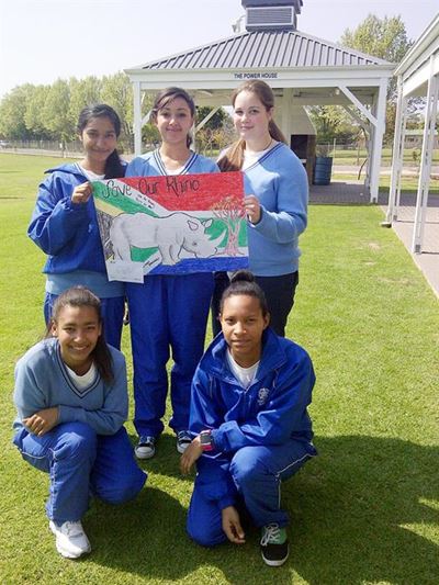 York High fights rhino carnage